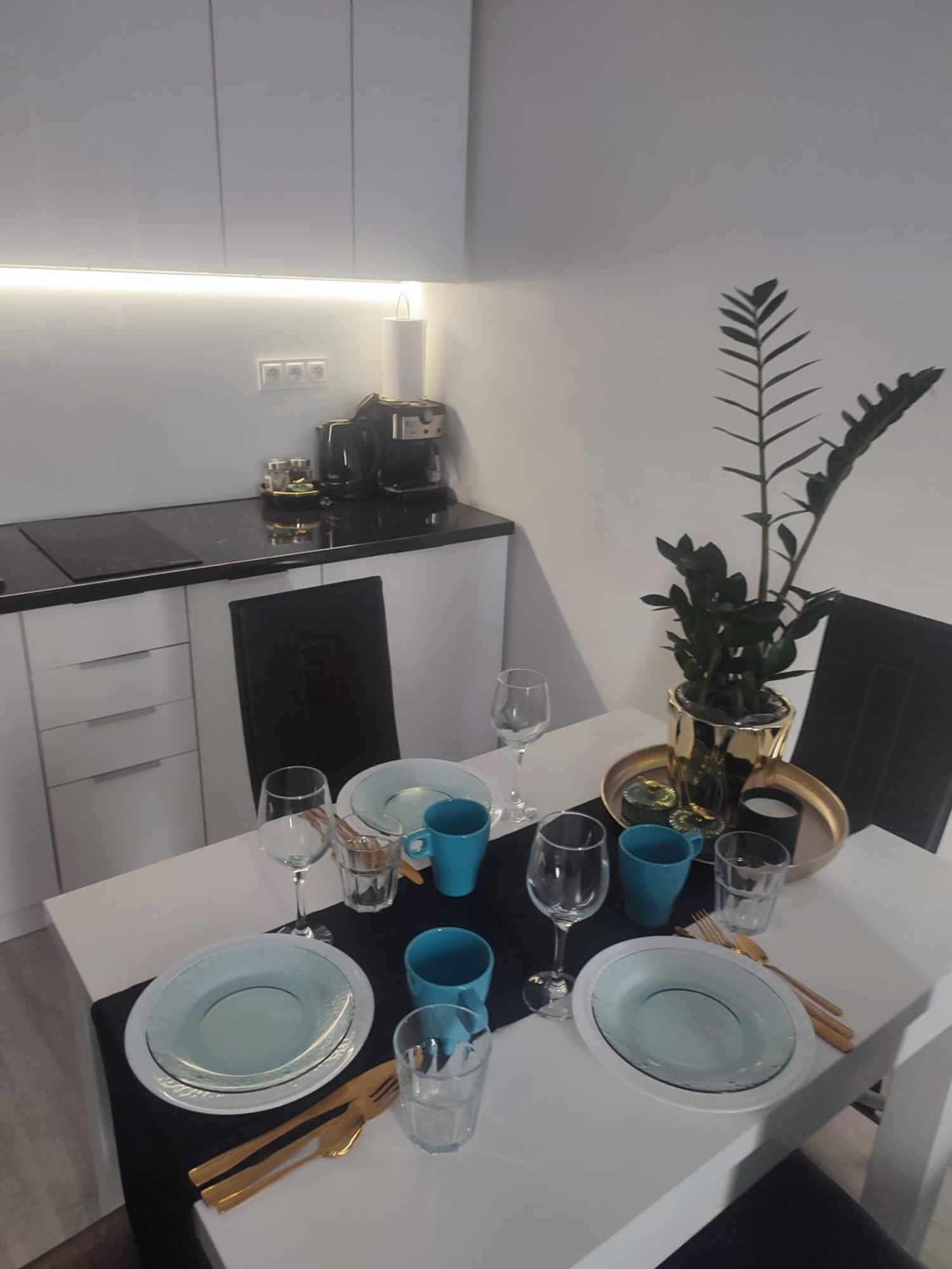 Apartament Lux W Centrum Konina Konin  Εξωτερικό φωτογραφία